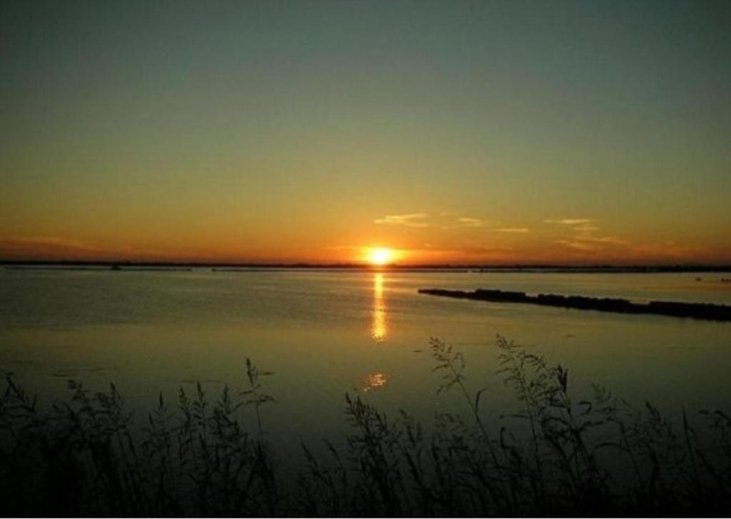 Hotel Diga Marina di Ravenna Dış mekan fotoğraf